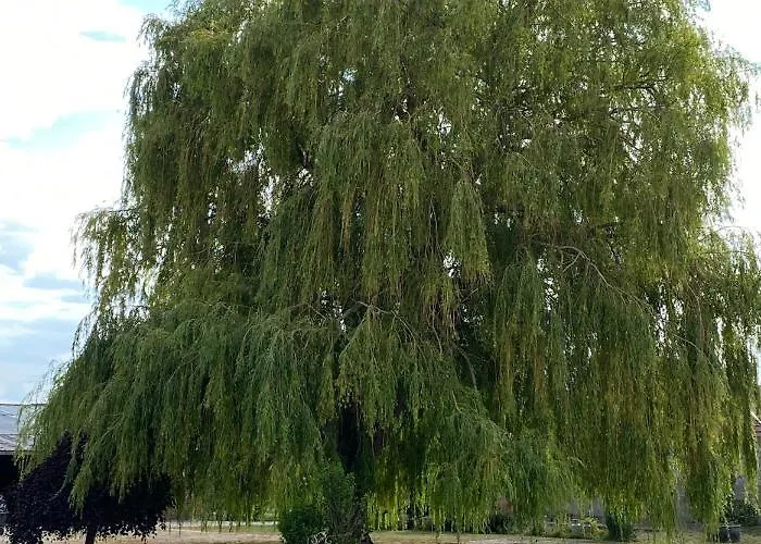 D Hotes La Du 12 Bed & Breakfast Brie (Somme)