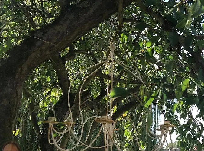 D Hotes La Du 12 Bed & Breakfast Brie (Somme)