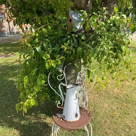 Bed & Breakfast D Hotes La Du 12