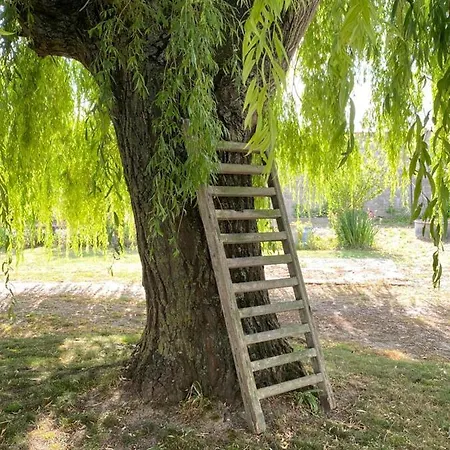 D Hotes La Du 12 Bed and Breakfast Brie (Somme)