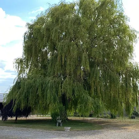 D Hotes La Du 12 Bed & Breakfast Brie (Somme)